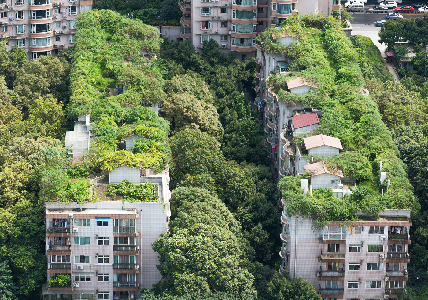 Beyond the Concrete Jungle: Using Roof Plant Platforms to Their Full Potential
